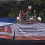 IMG-20260119-WA0136_copy_331x361