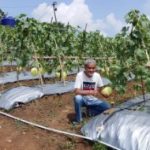 Petani buah Melon sekaligus pengurus Kadin Banten saat memperlihatkan buah Melon Premium.